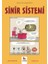 Sinir Sistemi - Gençler Için Çizgilerle Bilim 1
