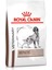 Royal Canin Hepatic Köpek Maması 7 kg 1