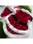 Kedi ve Köpek için Noel Anne Kostümü 4