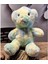 Sevimli Uyku Arkadaşı Peluş Ayı 30 cm 1