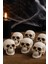 Halloween Bayramı Kuru Kafa 6 Lı Beyaz 1