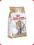 Yetişkin British Kedi Maması - 4 kg 1