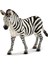 Dişi Zebra Oyuncak Figürü 1