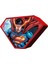 3D - Superman - 300 Parça Puzzle - Metal Kutu 1