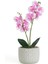 Beton Saksıda Real Touch Orkide - Pembe - 12X35 cm 1