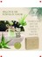 Aloe Vera Sabunu 125GR - Doğal Bitkisel Temizleyici 3