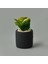 Mini Pot Sukulent - Siyah - 8X6X6 cm 1