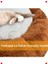 Peluş Kedi Köpek Yatağı Bulut Tasarım 45X45 cm 2