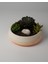 Dekoratif Beton Kase - Amorf 5X19 1l- Sukulent - Mini Kaktüs - Bonsai - Aranjman Kasesi 1
