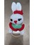 Amigurumi Kız Bebek Için Çilek Kız Tavşan Yeni Doğan Seti 3