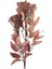 Baby Breath Yapay Çiçek - Kahverengi 3