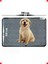 Yıkanabilir Köpek Eğitim Pedi 90X60 cm (3 Katmanlı) 4