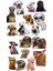 Köpek Telefon Laptop Notebook Tablet Defter Matara Stiker Etiket ST2139 1