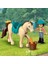 Horse And Pony Trailer 3