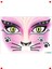 Kedi Temalı Yüz Süsleme Etiketleri 2