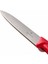67701 Soyma Bıçağı - Kırmızı - 10 cm 3