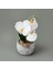 Etnik Desenli Beton Saksı Real Touch Orkide - Asorti - 28X12X12 cm 3