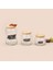 Siena Jar 3'lü Kavanoz Seti - Açık Kahverengi / Şeffaf 2