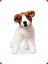 Büyük Boy Peluş Köpek Oyuncak, Jack Russell Terrier 4