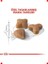 Hassas Sindirim Kedi Maması - Yetişkin (15 Kg) 4