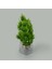 Dekor Yapay Çam Ağacı - Asorti - 26X15 cm 3