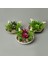 Dekor Aranjman Sukulent - Asorti - 15X10 cm 3
