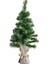 Yılbaşı Çuhalı Çam Ağacı 60 Cm 1