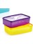 Alaska Dikdörtgen Derin Dondurucu Saklama Kabı - Asorti - 2,1 Lt 3