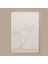Soft Palm Breeze Kurulama Bezi - 40X60 cm 1