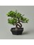 Dekor Mini Yapay Bonsai - Asorti - 10X13 cm 1