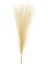 Dekoratif Tüy - Krem - 44 cm 2