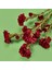 Deco Karanfil Dal Çiçek - Bordo - 68 cm 3