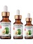 Avokado Yağı - 100 ml (Uçucu Yağ,buhardanlık Esansı,oda Kokusu) 2