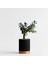 Modern Desenli Saksı – Minimal Dekoratif Tasarım 1