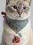 Kedi Bandanası Yılbaşı Temalı | Christmas Cat Bandana | Çorap Süs Detaylı Kedi Fuları 3