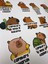 Capybara (Kapibara) Sticker Koleksiyonu Eğlenceli ve Dayanıklı 20 Ad Etiket, Defter, Laptop, Telefon 3