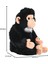 Ck Peluş Şempanze WILD16521 2