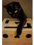(Mistikhane) - Kedi Tırnak Törpüsü ve Oyun Kutusu ( L Model ) 1