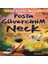 Posta Güvercinim Neck 1