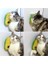 Silikon Kaşıyıcılı Kedi Otu 4