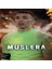 Fernando Muslera - (Poster Hediyeli) 1