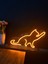 LED Tabela Veteriner Petshop Kedi 2