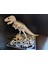 Eğitici Hobi | T-Rex Dinozor Iskeleti Yap-Boza Kit Kartı | 3D Baskı Maket 2