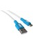 USB A-C Hızlı Şarj Kablosu (Beyaz + Beyaz/mavi Uç) (150 Cm) 2