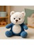Hughua Sevimli Teddy Bear - Yumuşak Dokulu Hediyelik Ayıcık - Çıkarılabilir Stitch Şapkası ile 6