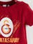 Yeni Sezon Galatasaray Baskılı Erkek Bebek Şortlu Takım 5