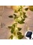 Güneş Enerjili Sarmaşık LED Dekor 5 Metre S-24 2