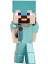 253260003 Jada Minecraft Figures 2 5 1