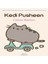 Kedi Pusheen 1