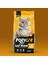 Pozycat Tavuklu Yetişkin Kedi Maması 15KG 1